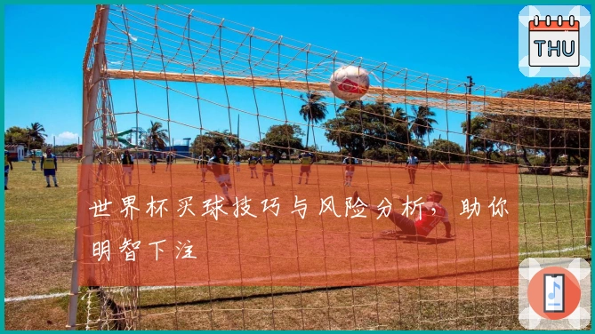世界杯买球技巧与风险分析，助你明智下注