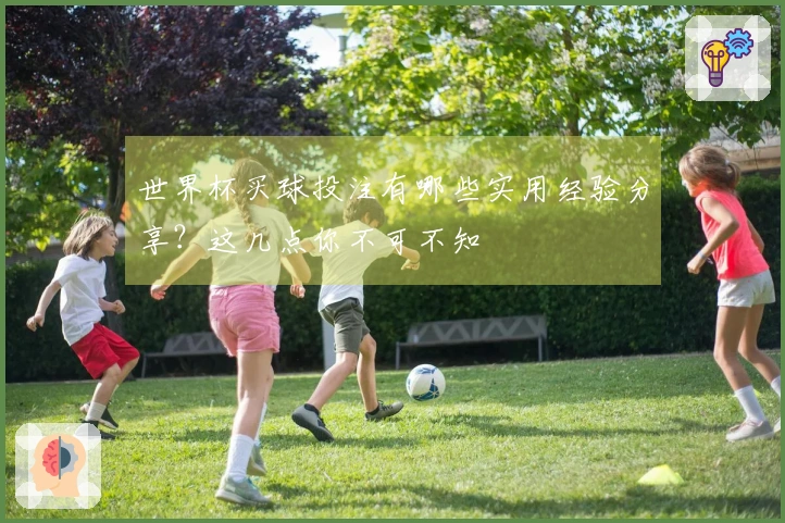 世界杯买球投注有哪些实用经验分享？这几点你不可不知
