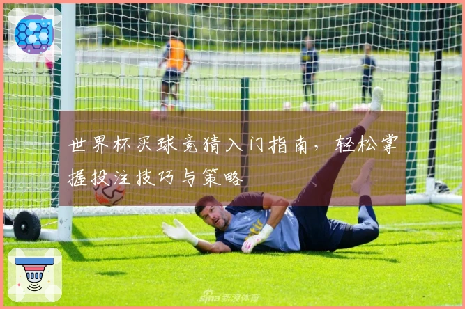 世界杯买球竞猜入门指南，轻松掌握投注技巧与策略