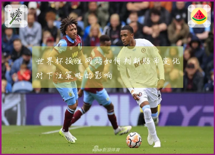 世界杯投注网站如何判断赔率变化对下注策略的影响