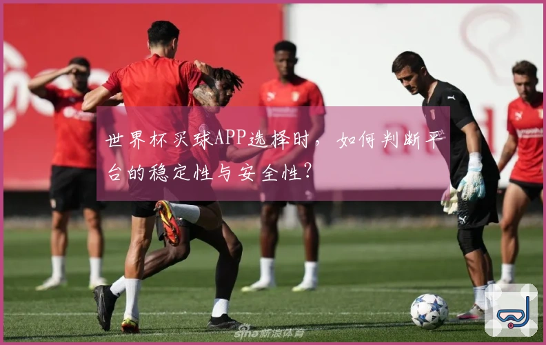 世界杯买球APP选择时，如何判断平台的稳定性与安全性？