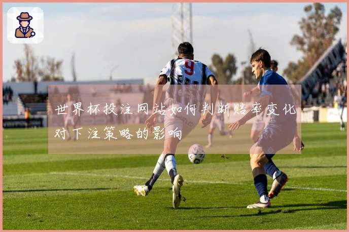 世界杯投注网站如何判断赔率变化对下注策略的影响