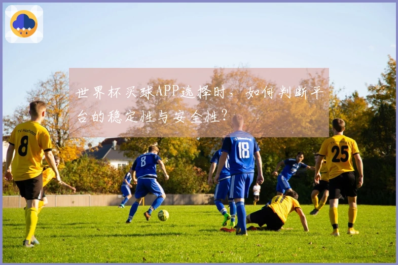 世界杯买球APP选择时，如何判断平台的稳定性与安全性？